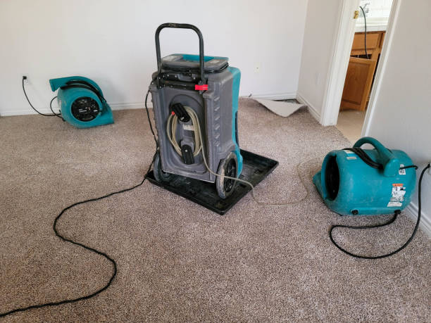 Best Professional water damage repair  in Villa Hills, KY