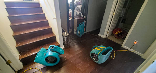 Best Fire Damage Restoration  in Villa Hills, KY
