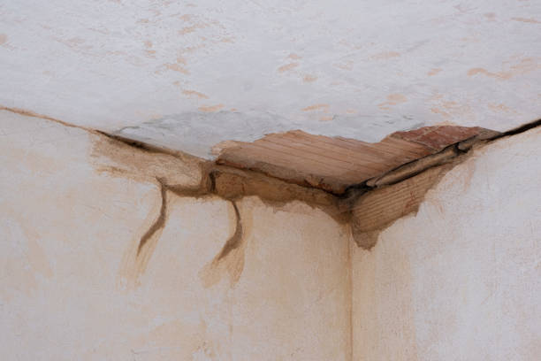 Best Local water damage restoration  in Villa Hills, KY