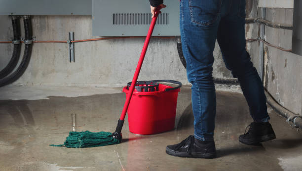Best Ceiling water damage repair  in Villa Hills, KY