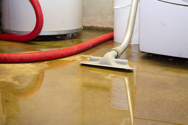 Best Flood restoration services  in Villa Hills, KY