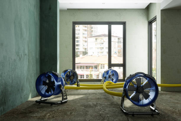 Best Water damage restoration near me  in Villa Hills, KY